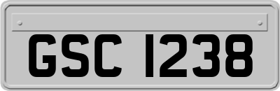 GSC1238