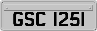 GSC1251