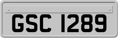 GSC1289