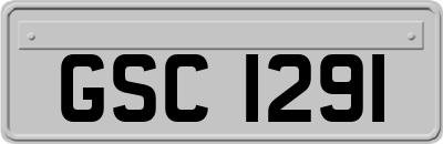 GSC1291