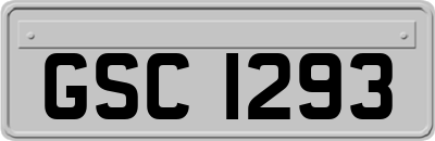 GSC1293
