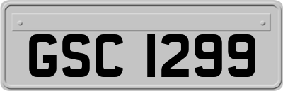 GSC1299