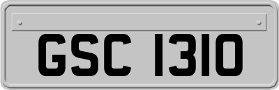 GSC1310