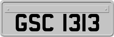 GSC1313