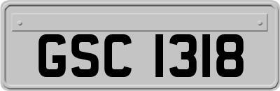 GSC1318