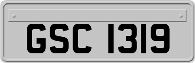 GSC1319