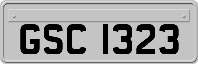 GSC1323