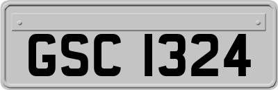 GSC1324