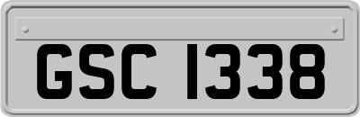 GSC1338