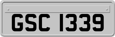 GSC1339