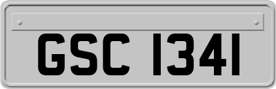 GSC1341