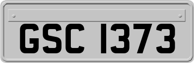 GSC1373