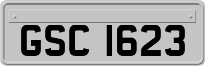 GSC1623