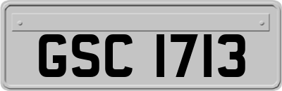 GSC1713
