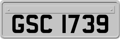 GSC1739