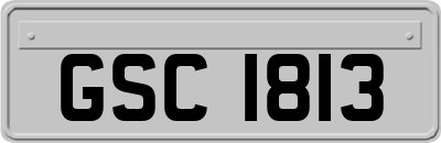 GSC1813