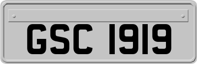 GSC1919