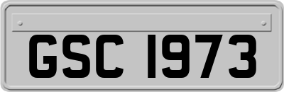 GSC1973