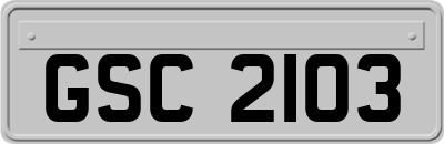 GSC2103