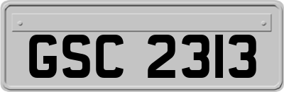 GSC2313