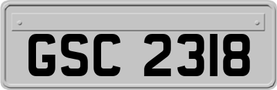 GSC2318