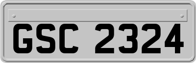 GSC2324