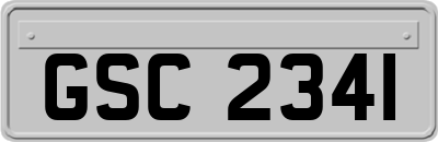 GSC2341