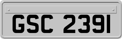 GSC2391