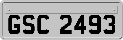 GSC2493