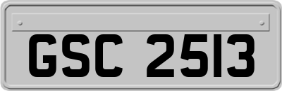 GSC2513