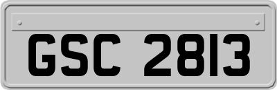 GSC2813