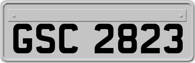 GSC2823