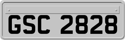 GSC2828