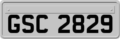 GSC2829