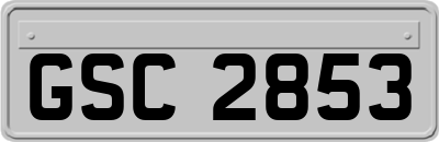 GSC2853