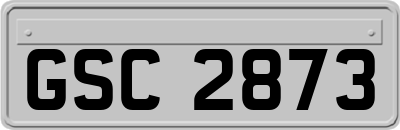 GSC2873