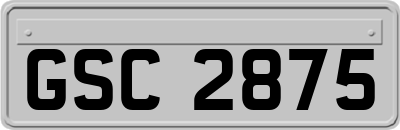 GSC2875