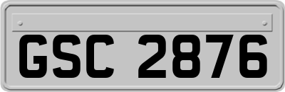 GSC2876