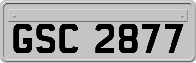 GSC2877