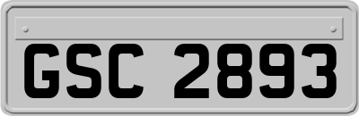 GSC2893