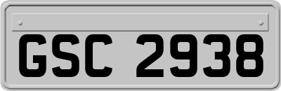GSC2938