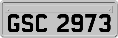GSC2973