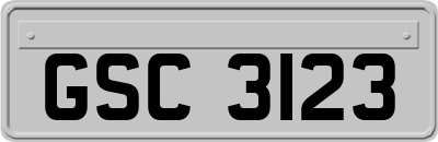 GSC3123