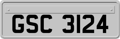 GSC3124