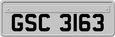 GSC3163