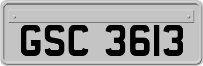 GSC3613