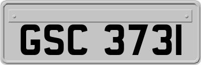 GSC3731