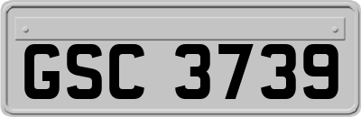 GSC3739