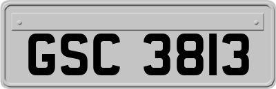 GSC3813