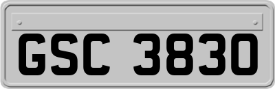 GSC3830